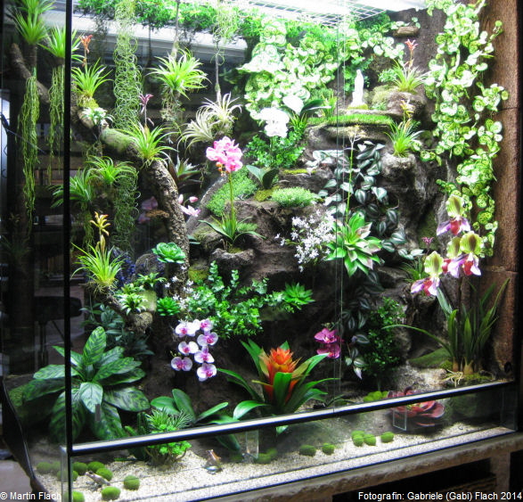 Orchideenvitrine bzw. Regenwaldterrarium ab Juni 2014 - nur noch mit knstlichen Orchideen, Bromelien und Gewchsen dekoriert - Fotografin: Gabriele (Gabi) Flach  Martin Flach