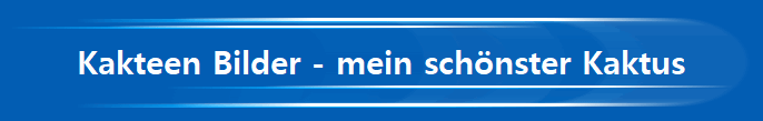 Kakteen Bilder - mein sch�nster Kaktus