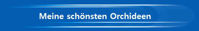 Meine sch�nsten Orchideen   