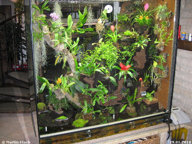 Eine Kombination von Regenwaldterrarium, Orchideenvitrinen und Aquaterrarium   Martin Flach